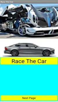 Race The Car Screen Shot 0