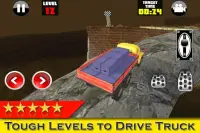 سائق شاحنة البطل - لعبة 3D Screen Shot 4