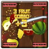 Guide For Fruit Ninja