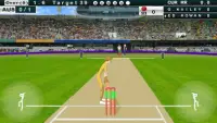 T20 Cricket Cup 2018 Screen Shot 5