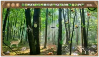 Rain Forest Hidden Objects Screen Shot 3