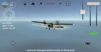 Island Bush Pilot 3D Screen Shot 2