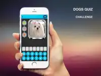 Dogs Quiz 2017 Screen Shot 1