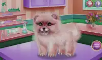 ポメラニアンの子犬デイケアゲーム Screen Shot 3