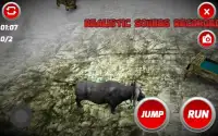 Buffalo Wild Simulador Screen Shot 2