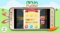 Ninja Rabbit Screen Shot 3