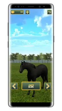 Sumba Runner : Endless Horse Runner Screen Shot 2