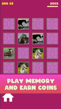 Horse - Pet Memory Game Screen Shot 3