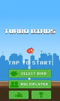 Turbo Birds: Fun Race Screen Shot 5