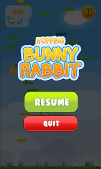 Bouncy Bunny Screen Shot 1