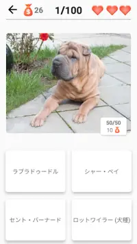 39/5000 犬のクイズ - 写真の中のすべての犬の品種を推測する Screen Shot 2