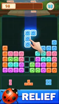 Block Puzzle - Pet World Screen Shot 3