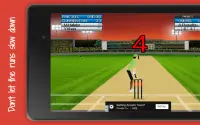 Cricket World Cup Mini Screen Shot 9