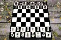 chess new 2018 Screen Shot 2