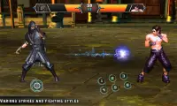 Ninja Deadly Kung Fu Fighting Tiger Game Screen Shot 1