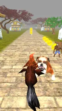 Animal Run - Rooster Screen Shot 4