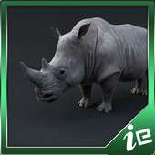 Big Rhino Simulator