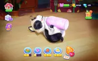 Catapolis: Cat Simulator Games Screen Shot 16