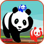 Panda Bear Games Free for Kids