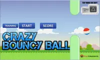 Free Game | Crazy Bouncy Ball Screen Shot 0