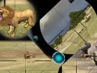 Lion Sniper Hunting Screen Shot 0
