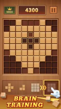 Wood Block 99 - Wooden Sudoku Puzzle Screen Shot 4