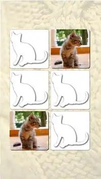 Puzzle Games free: Cute Cats Screen Shot 1