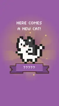 Let's Get the Cats: Cute Cats Collector Screen Shot 5