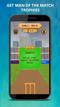 Bowled 3D - Cricket Game Screen Shot 4
