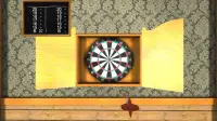 Darts 3D 4 Free Screen Shot 2