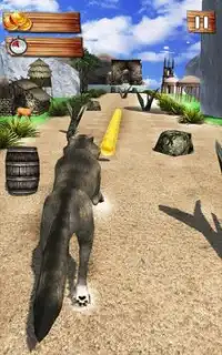 Wild Animal Transform Infinite Jungle Runner Sim Screen Shot 7