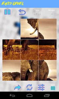 Africa Jigsaw Puzzle Screen Shot 3