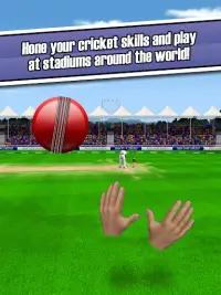 New Star Cricket Screen Shot 9