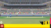 Cricket Arcade Screen Shot 0