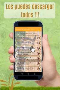Sonidos de Caballos para Celular gratis Screen Shot 1