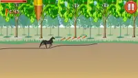 Wild Horse Scribble Race Screen Shot 0