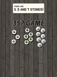 357 Game Screen Shot 6