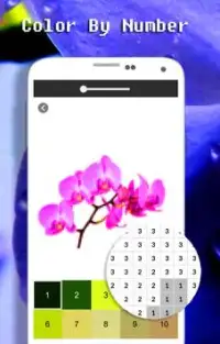 Cor da flor da orquídea pelo número: arte do Pixel Screen Shot 2