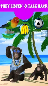 Monyet bercakap sebenar Screen Shot 2