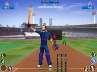 Bat & Ball: Play Cricket Games Screen Shot 12