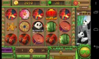 Panda Slot -Free Vegas Casino  Slot Machines Games Screen Shot 1