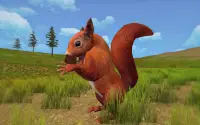 Squirrel Simulator - Mouse Family Wild Life Sim Screen Shot 3
