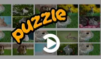 Beautiful and cute bunny puzzle - free Screen Shot 5