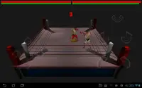 Boxing Game Screen Shot 1