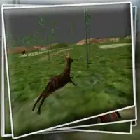 Hunting Game Online Screen Shot 1