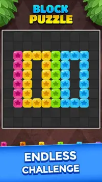 Block Puzzle Screen Shot 5