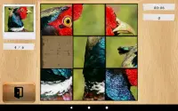 Wildlife Puzzles Screen Shot 5