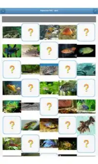 Aquarium fish - quiz Screen Shot 4