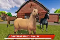 meu show de cavalos: corrida e salto desafio Screen Shot 9