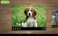 Dog Puzzle Games Free Screen Shot 6